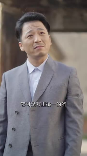 【来福回家过年啦（34集）】独家短剧全集免费欣赏