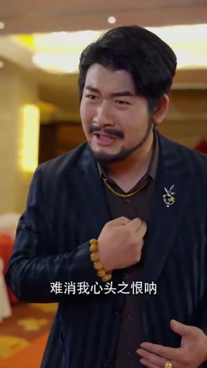 我不是高手（82集）短剧全系列永久免费