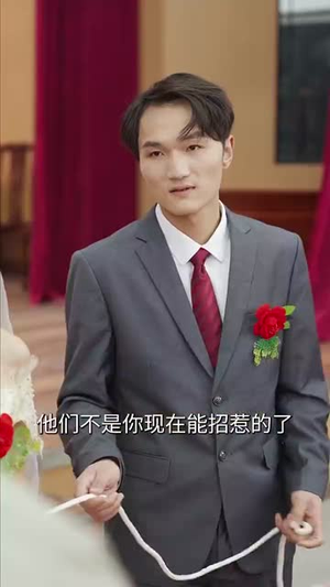 【功成名就时，衣锦还乡日（60集）】全集短剧高清在线观看
