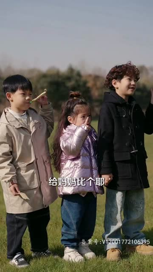 【风起时见你（93集）】全集剧情短剧随心播放