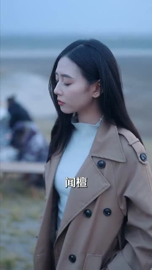 苦尽甘来遇见你(87集) 苦尽甘来遇见你(87集)短剧限免全集任你点