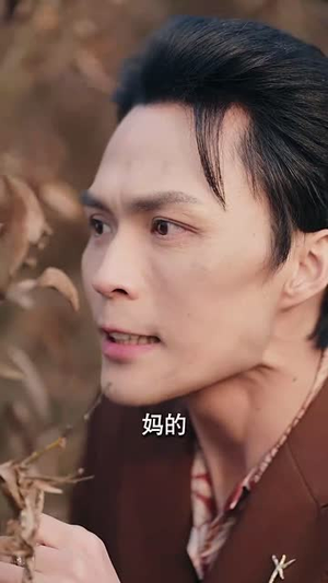 又是一出好戏(60集) 又是一出好戏(60集)短剧合集蓝光画质