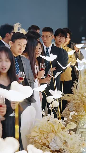 【岳父如山（30集）】高清短剧全集手机随时看