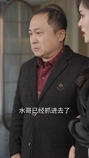 【风雨晚来归（36集）】全集短剧无广告观看