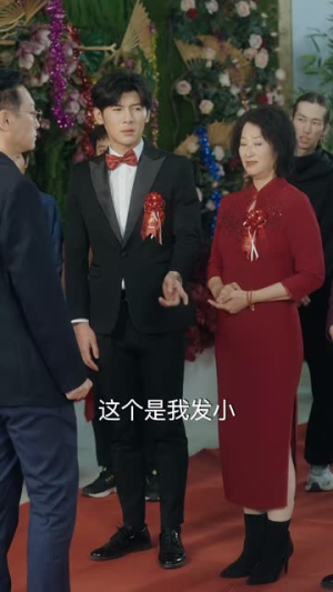 【红毯上的玩笑（30集）】短剧全集免费流畅播放中