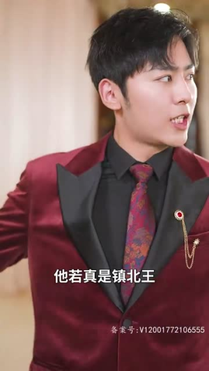 【镇北皇（89集）】全集短剧无广告流畅观看