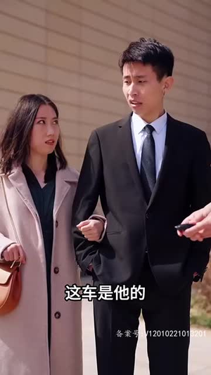 【系统提示您的钱已到账（100集）】全集短剧高清蓝光观看