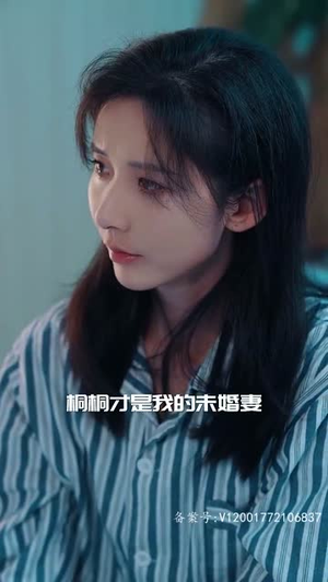 【梧桐叶里思星辰（100集）】一键观看全集短剧盛宴