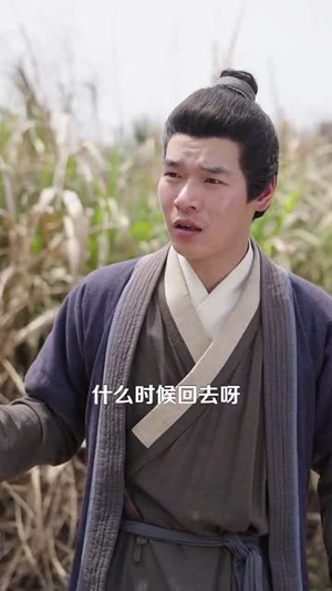 【深山开荒避乱世，全家顿顿有肉吃（91集）】高清短剧全集任意看
