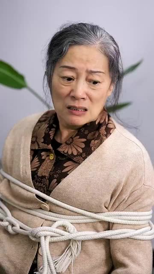 【深秋的康乃馨（90集）】在线短剧免费观看全集