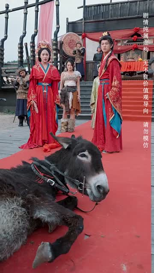 【臣本布衣（66集）】短剧全集高清在线随心享