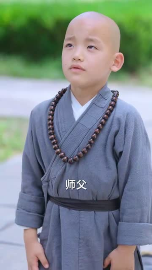 少林萌宝闯江湖(50集) 少林萌宝闯江湖(50集)短剧经典全集任你选