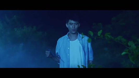 诡影迷途(51集) 诡影迷途(51集)短剧最终章免费合集